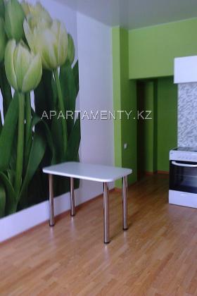 One room apartment for daily rent, district 