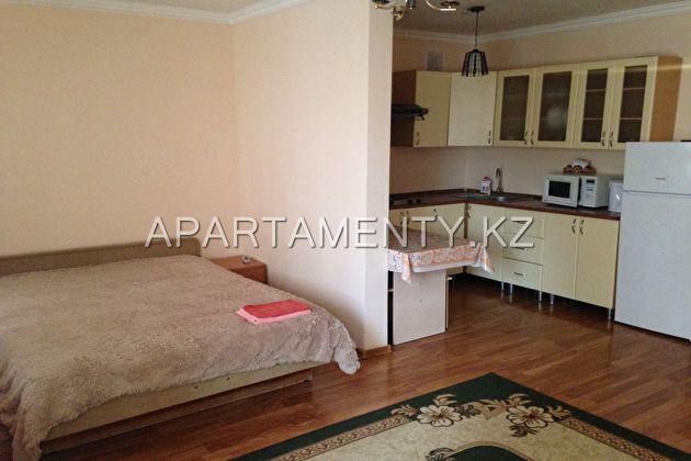 1-roomed apartment by the day, st. Kubrina 22 /1