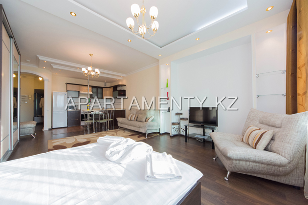 1room apartment vip daily rent Astana