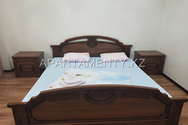 2-room apartment for daily rent, 28A Abaya Ave.