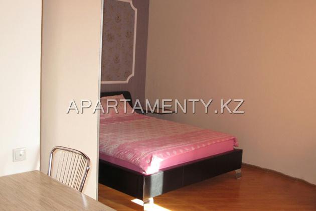 1-bedroom studio apartment in the center of the city