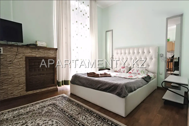 Studio apartment daily