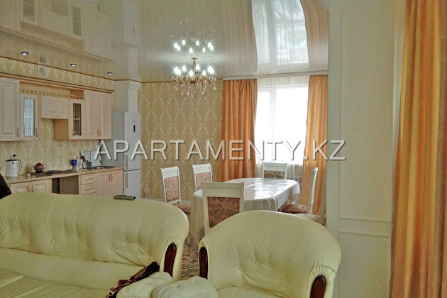 One bedroom apartment for daily rent