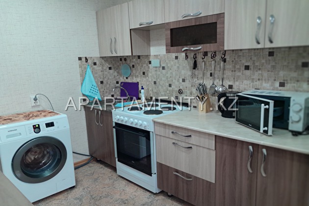 1 bedroom apartment per day, Kosmicheskaya str. 9