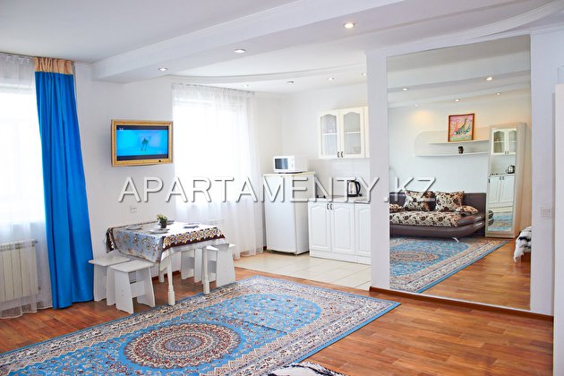 1-room apartment for daily rent, ul. Krivenko 81