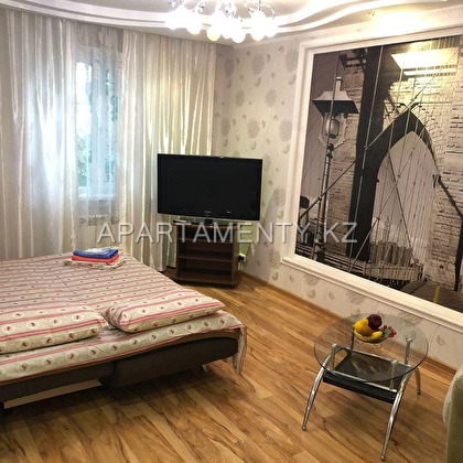 1-room apartment for daily rent, Naberezhnaya 5