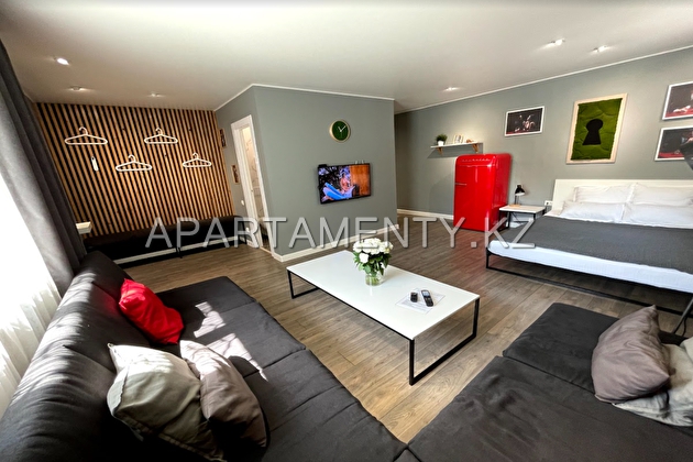 1-room apartment in the center