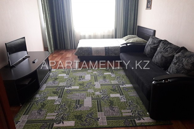 1-room apartment for daily rent, 26 Potanina str.