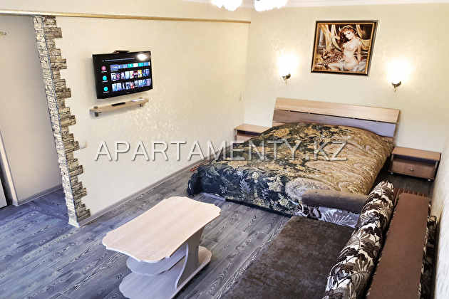 1-room apartment for daily rent, Mayakovsky 6