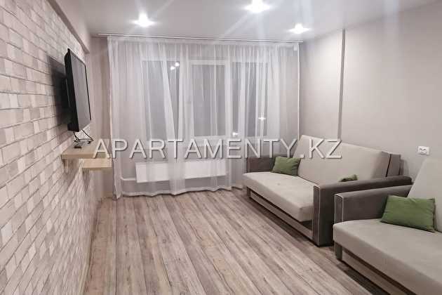 1-room apartment for daily rent, Tolstogo 20