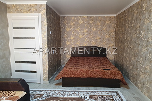 1 room apartment for daily rent in Borovoye