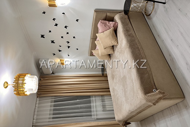 2-комнатная квартира в центре города