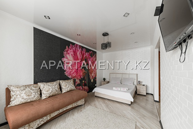 1-room apartment for daily rent, Abaya 31