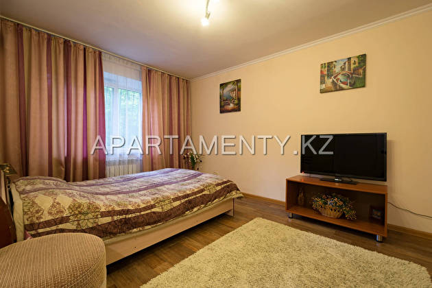 1-room apartment per night, st. Zheltoxane