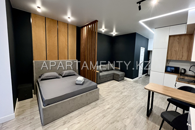 1-room apartments for daily rent in the center