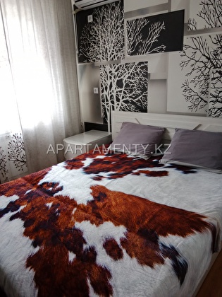 1 bedroom apartment in the center for daily rent