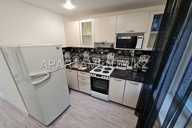 1-room apartment in the city center