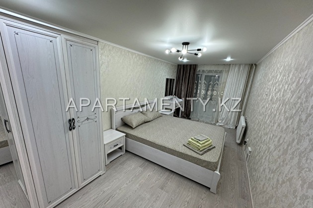 2-room apartment in the city center