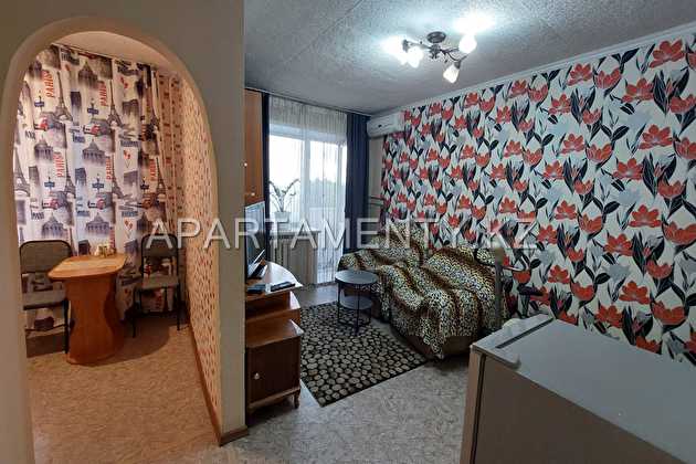 1-room  apartment for daily rent