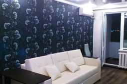 1-bedroom apartment daily