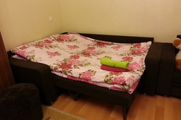 1-roomed apartment by the day, center