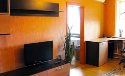 1-bedroom apartment daily