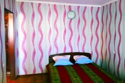 1-bedroom apartment daily