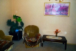 1-bedroom apartment daily