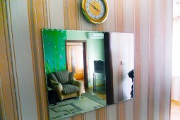 1-bedroom apartment daily