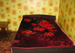 Однокомнатная квартира посуточно в Костанае