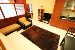 Cozy 1-bedroom apartment