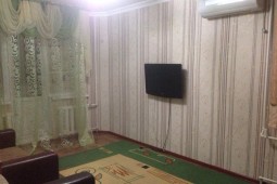 1-bedroom apartment daily