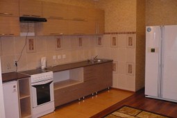 1-bedroom apartment daily