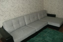 1-bedroom apartment daily