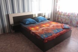 Однокомнатные апартаменты посуточно