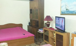 1-bedroom apartment daily