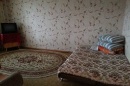 1-bedroom apartment daily