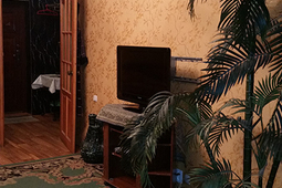 1-bedroom apartment daily