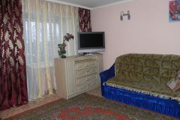 1-комнатные апартаменты посуточно в центре