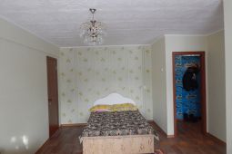 1,5-bedroom apartment daily