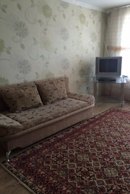 1-bedroom apartment in the center