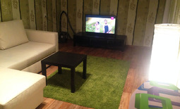 1-bedroom apartment daily in the center