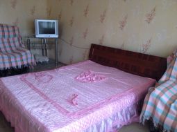 1-bedroom apartment daily