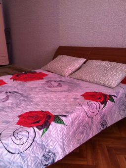 Studio apartment daily