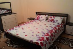 Трехкомнатная квартира в центре города