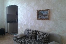 Studio apartment daily