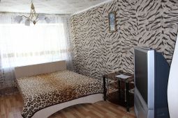 1-комнатная квартира посуточно в центре