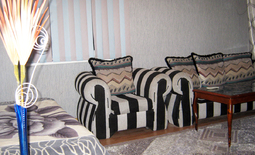 Studio spsrtment daily