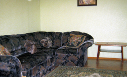 1-bedroom apartment daily