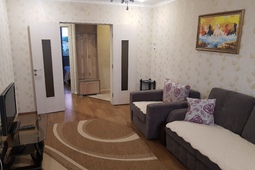 Luxurious apartment for rent in Borovo